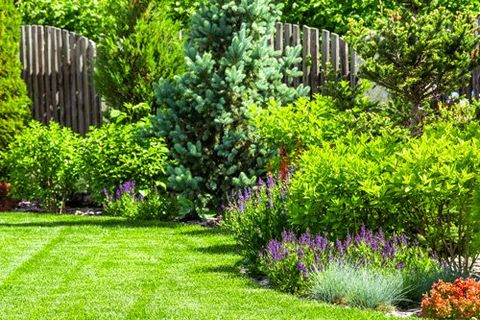 Bait Trap — Healthy Garden in Jacksonville, FL